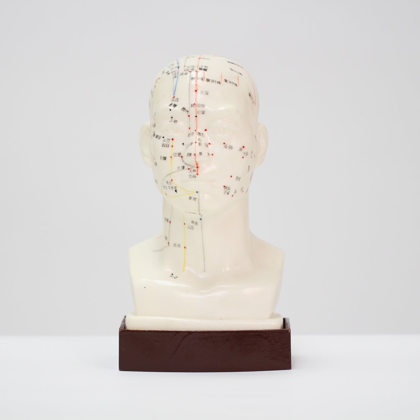 Acupuncture Model